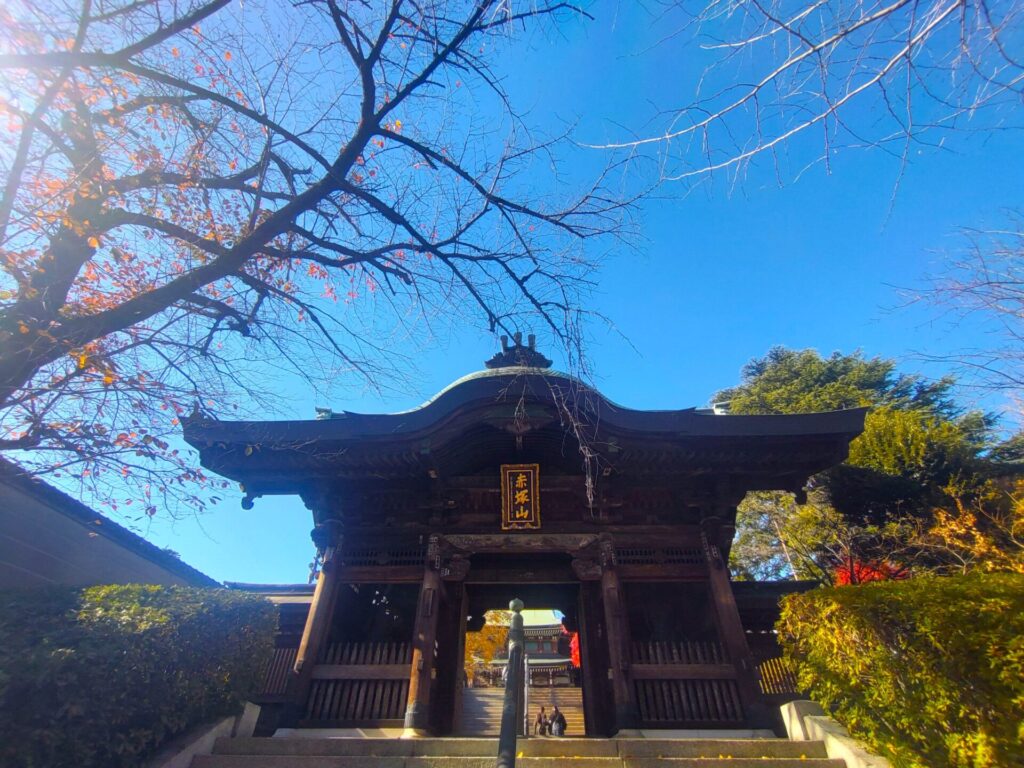 東京大仏(乗蓮寺)と板橋区立赤塚植物園【東京都】 DSC 3184 1024x768 - 東京大仏(乗蓮寺)と板橋区立赤塚植物園【東京都】