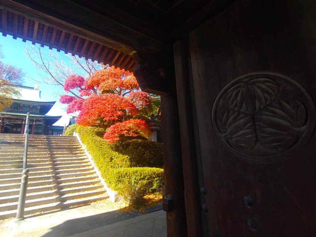 東京大仏(乗蓮寺)と板橋区立赤塚植物園【東京都】 DSC 3188 2 1024x768 - 東京大仏(乗蓮寺)と板橋区立赤塚植物園【東京都】