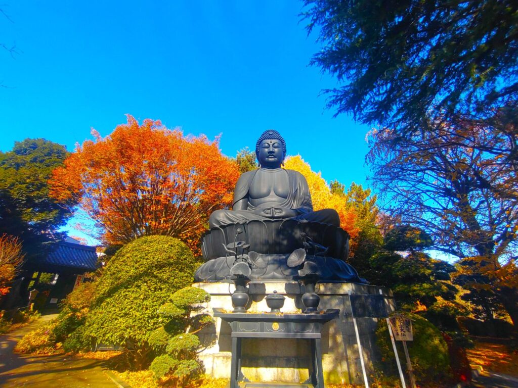 東京大仏(乗蓮寺)と板橋区立赤塚植物園【東京都】 DSC 3192 1024x768 - 東京大仏(乗蓮寺)と板橋区立赤塚植物園【東京都】