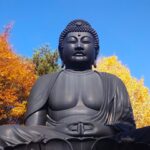 DSC 3195 150x150 - 旧古河庭園【東京都】