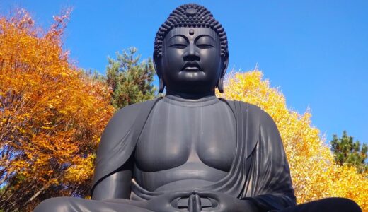 東京大仏(乗蓮寺)と板橋区立赤塚植物園【東京都】