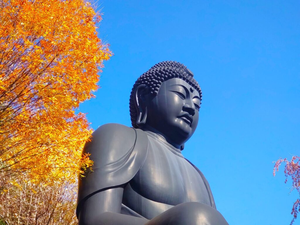 東京大仏(乗蓮寺)と板橋区立赤塚植物園【東京都】 DSC 3205 1024x768 - 東京大仏(乗蓮寺)と板橋区立赤塚植物園【東京都】