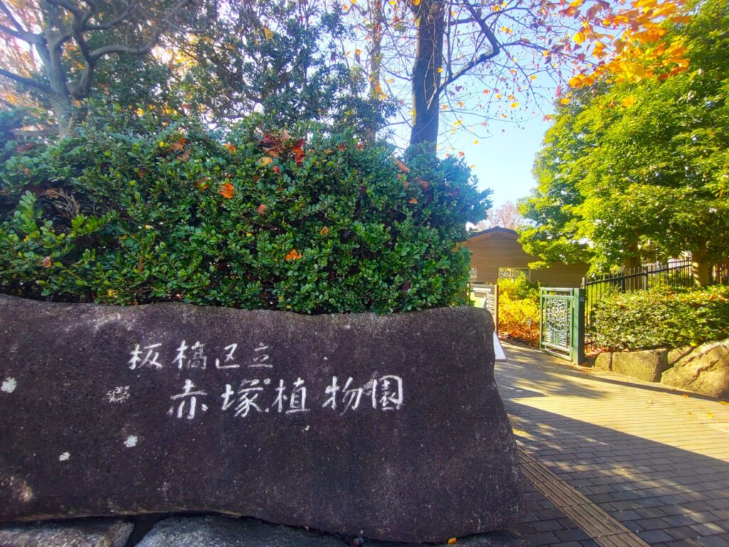 東京大仏(乗蓮寺)と板橋区立赤塚植物園【東京都】 DSC 3213 1024x768 - 東京大仏(乗蓮寺)と板橋区立赤塚植物園【東京都】