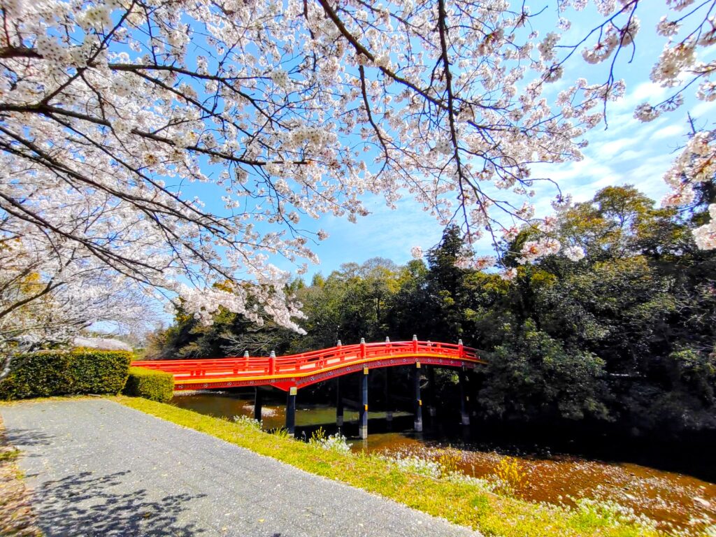 DSC 32272 1024x768 - 宇佐神宮【大分県】