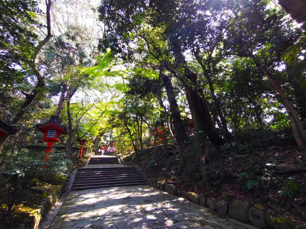 DSC 3242 1024x768 - 宇佐神宮【大分県】