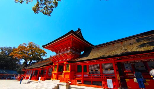 DSC 3247 520x300 - トップページ用の固定ページ-日本語