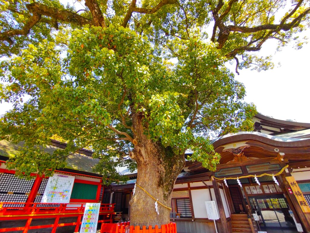 DSC 3248 2 1024x768 - 宇佐神宮【大分県】