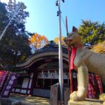 DSC 3267 150x150 - Komagome Tenso Shrine and Komagome Fuji Shrine [Tokyo]