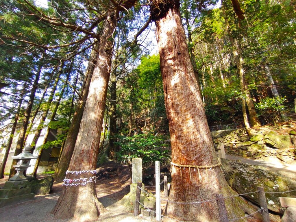 DSC 3283 1024x768 - 天祖神社【大分県】