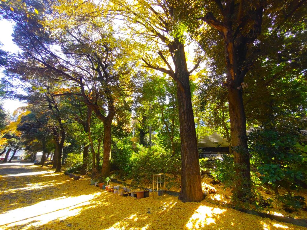 水稲荷神社と甘泉園公園【東京都】 DSC 3290 1024x768 - 水稲荷神社と甘泉園公園【東京都】
