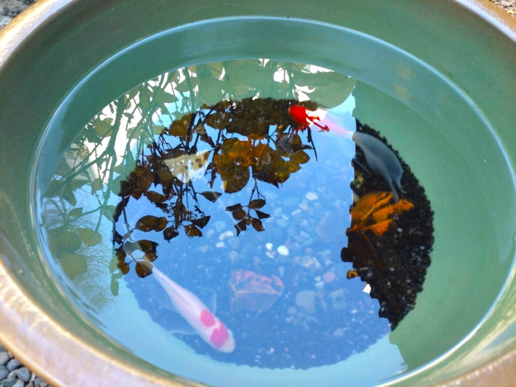 日本橋日枝神社【東京都】 DSC 3462 1024x768 - 日本橋日枝神社【東京都】