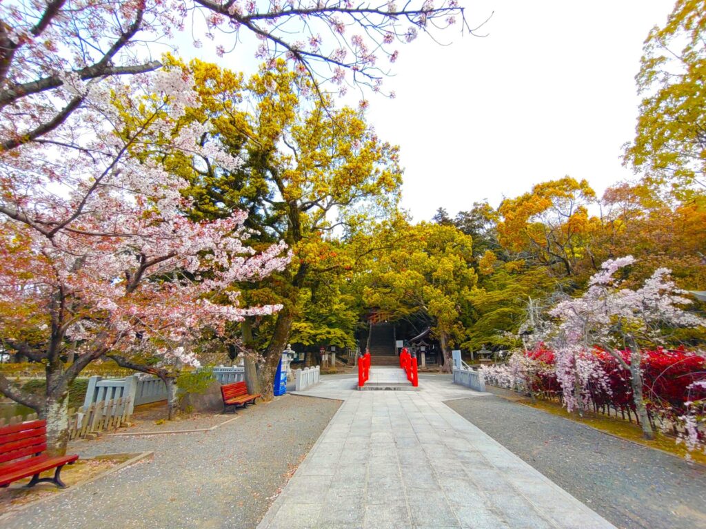 DSC 3784 2 1024x768 - Sumiyoshi Shrine [Yamaguchi]