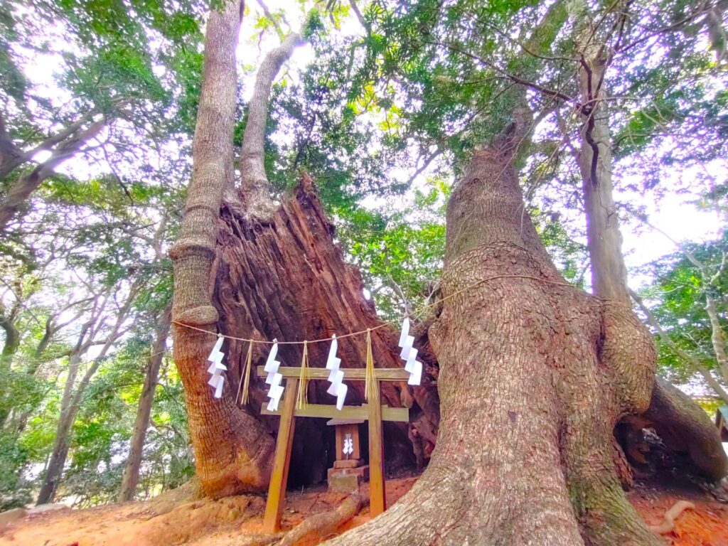 DSC 3797 1 1024x768 - Sumiyoshi Shrine [Yamaguchi]