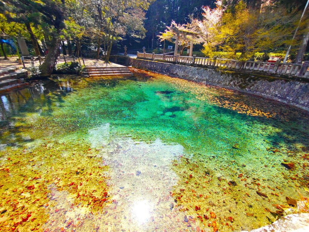 DSC 3857 1024x768 - Beppu Itsukushima Shrine and Beppu Benten Pond [Yamaguchi]