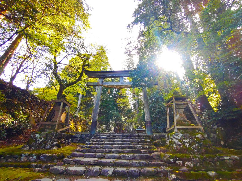 平泉寺白山神社【福井県】 DSC 5102 1024x768 - 平泉寺白山神社【福井県】