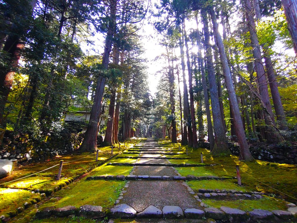 平泉寺白山神社【福井県】 DSC 5103 1024x768 - 平泉寺白山神社【福井県】