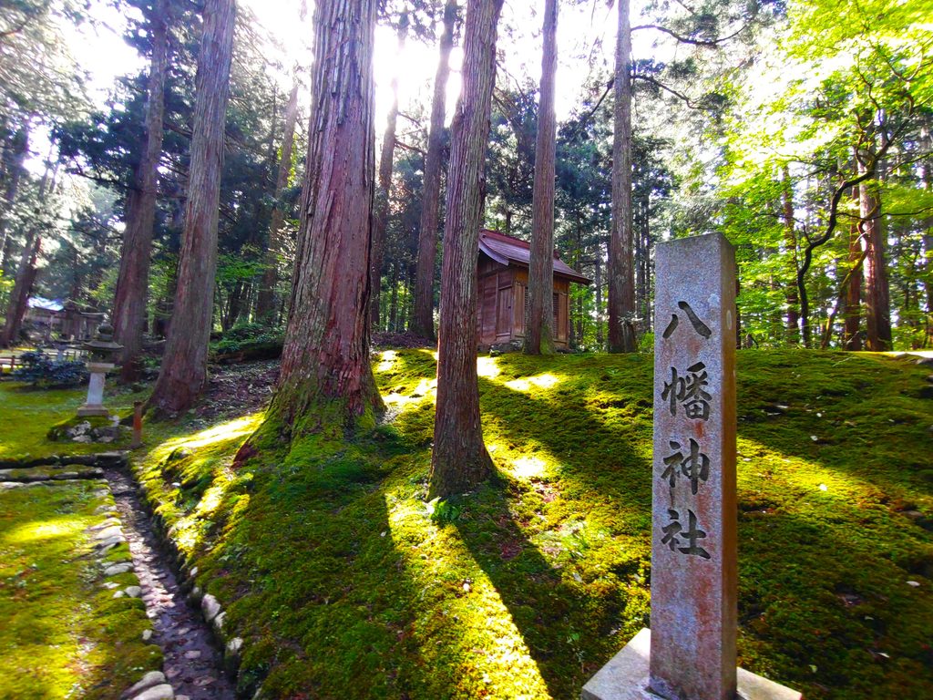 平泉寺白山神社【福井県】 DSC 5105 1024x768 - 平泉寺白山神社【福井県】