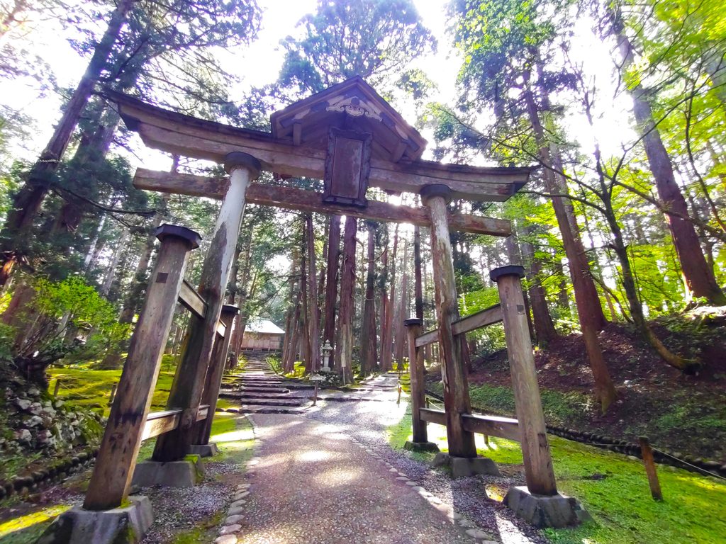 平泉寺白山神社【福井県】 DSC 5108 1024x768 - 平泉寺白山神社【福井県】