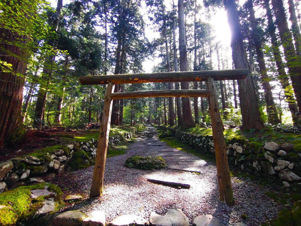 平泉寺白山神社【福井県】 DSC 5115 1024x768 - 平泉寺白山神社【福井県】