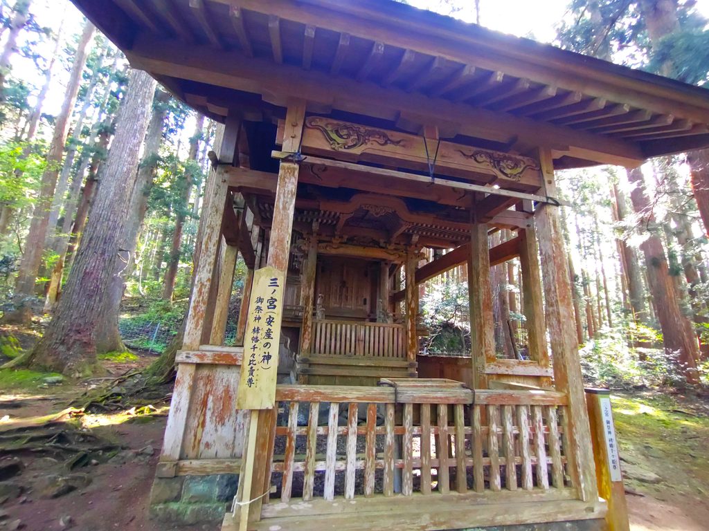 平泉寺白山神社【福井県】 DSC 5124 1024x768 - 平泉寺白山神社【福井県】
