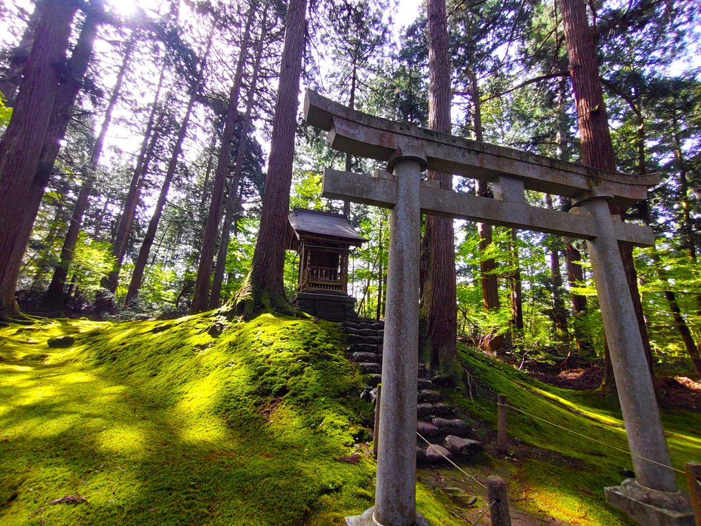 平泉寺白山神社【福井県】 DSC 5139 1024x768 - 平泉寺白山神社【福井県】