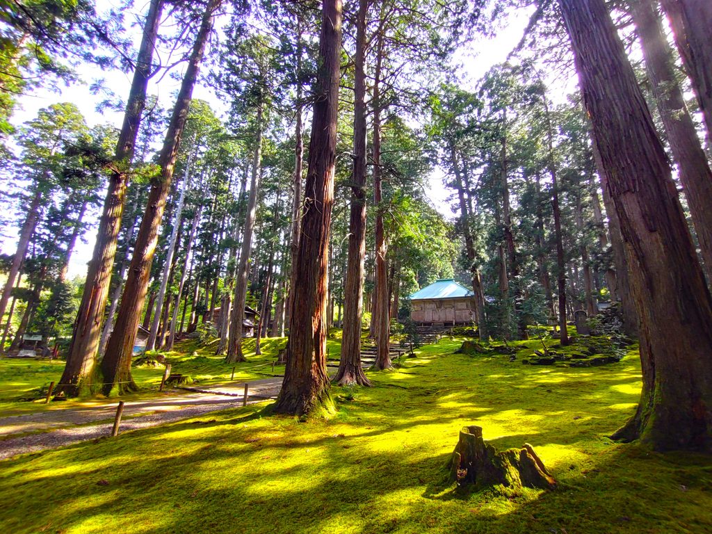 平泉寺白山神社【福井県】 DSC 5143 1024x768 - 平泉寺白山神社【福井県】