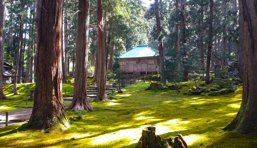 平泉寺白山神社【福井県】