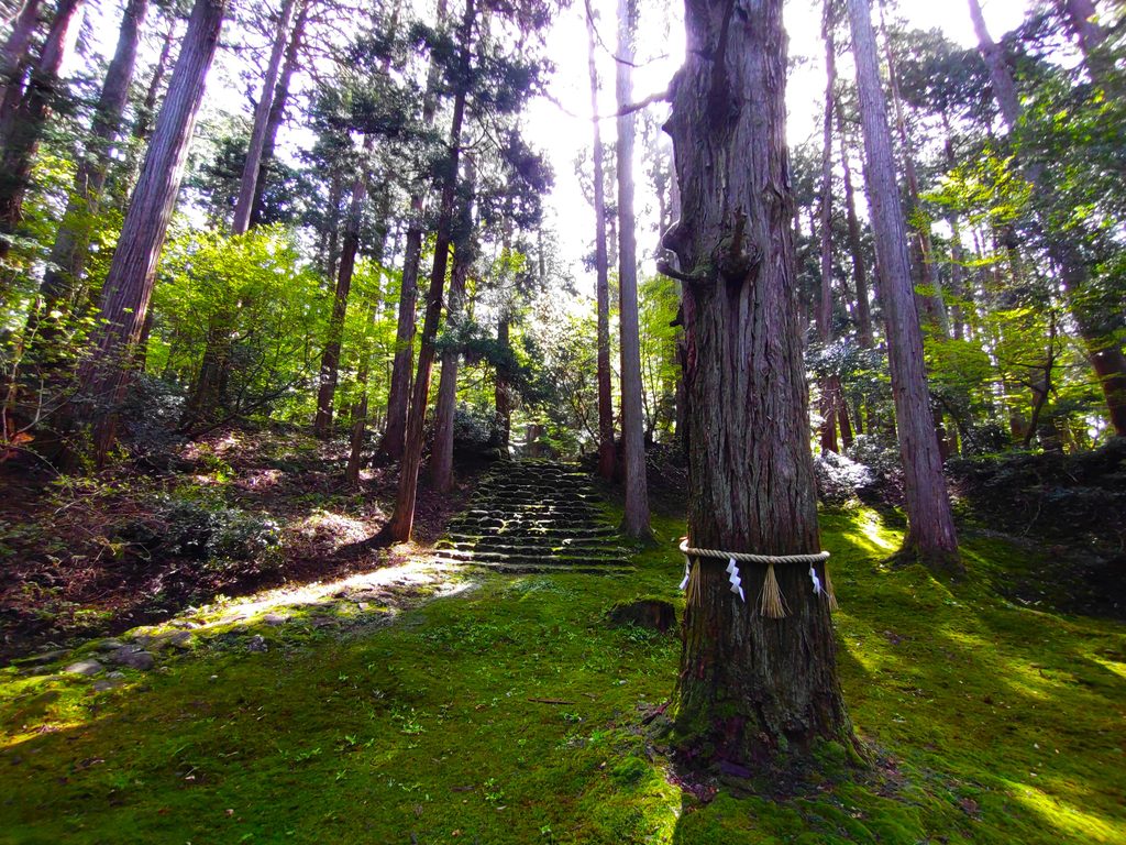 平泉寺白山神社【福井県】 DSC 5155 1024x768 - 平泉寺白山神社【福井県】