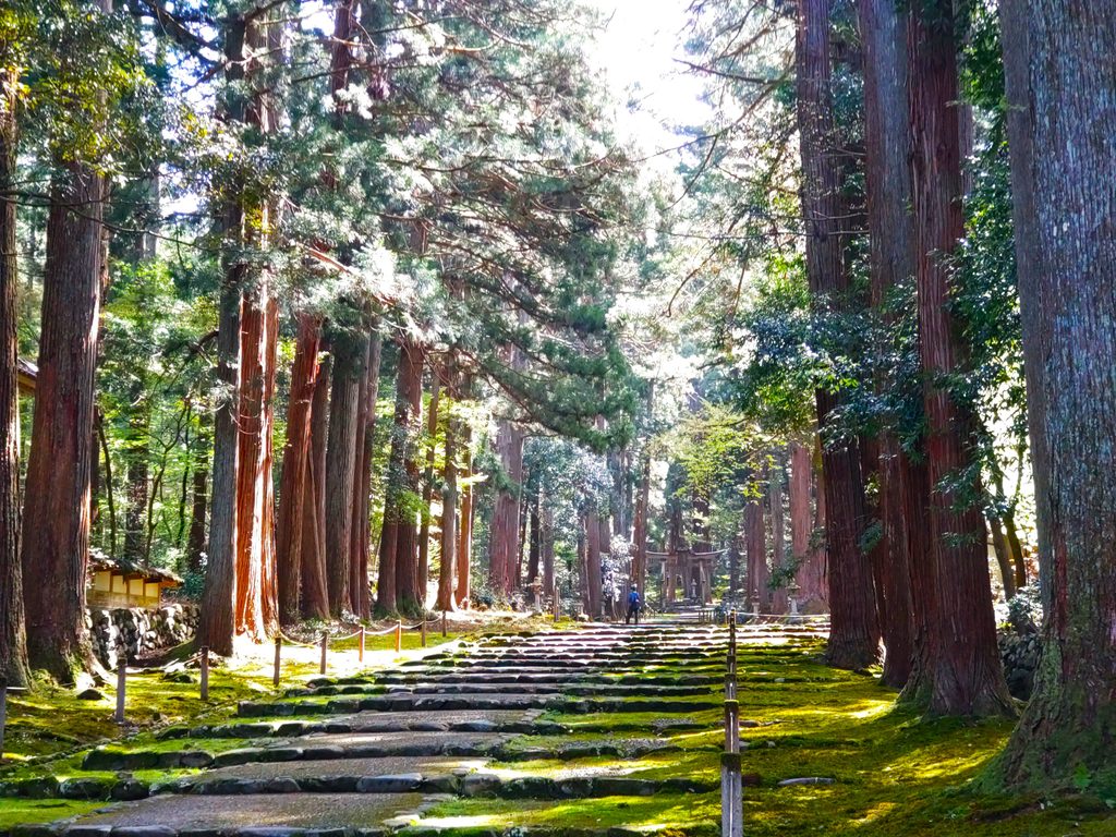 平泉寺白山神社【福井県】 DSC 5156 1024x768 - 平泉寺白山神社【福井県】