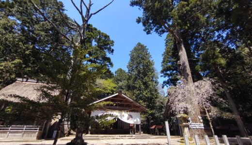 Motoise Naiku Kotai Shrine [Kyoto]
