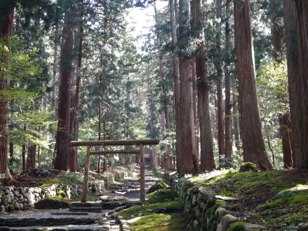 Heisenji Hakusan Shrine【Fukui】4 1024x768 - 平泉寺白山神社【福井県】
