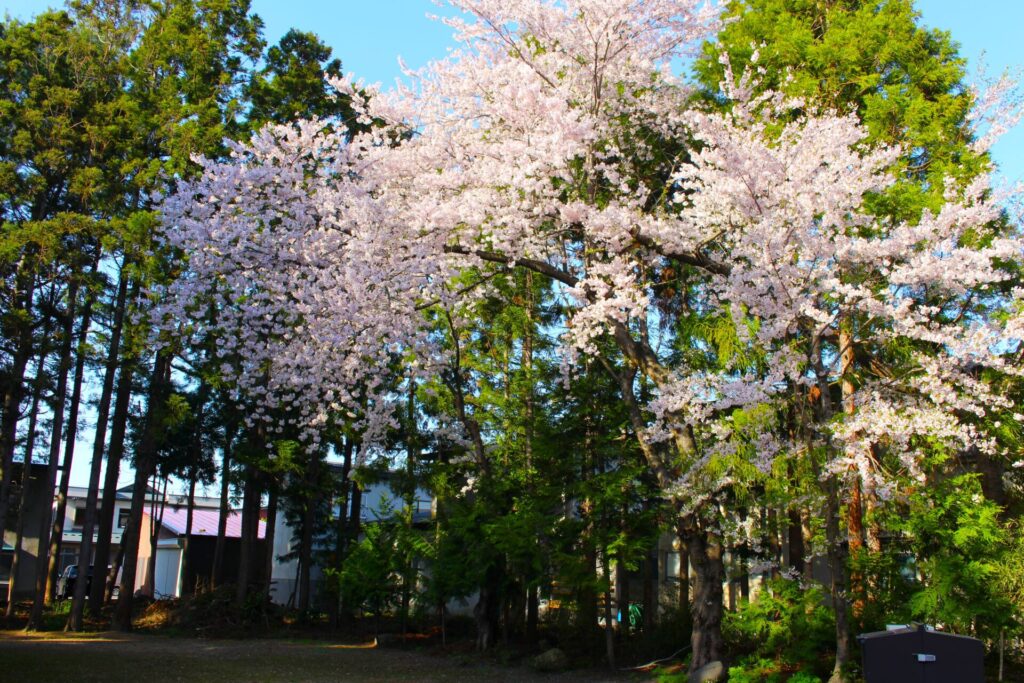 IMG 2785 1024x683 - 弘前八幡宮【青森県】