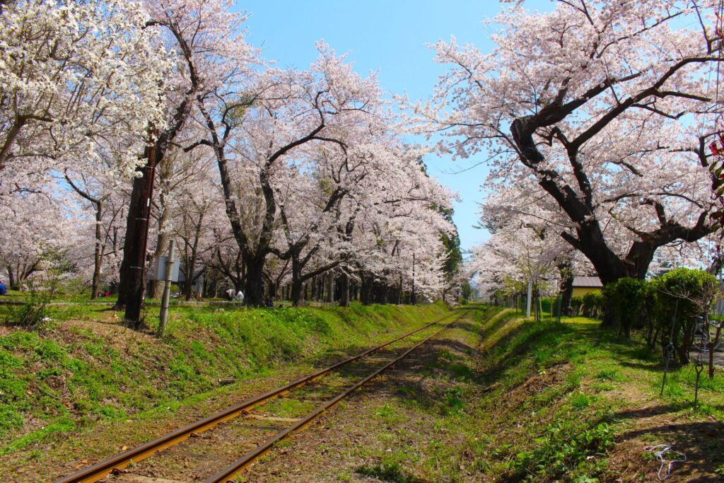 IMG 2803 1024x683 - 芦野公園【青森県】