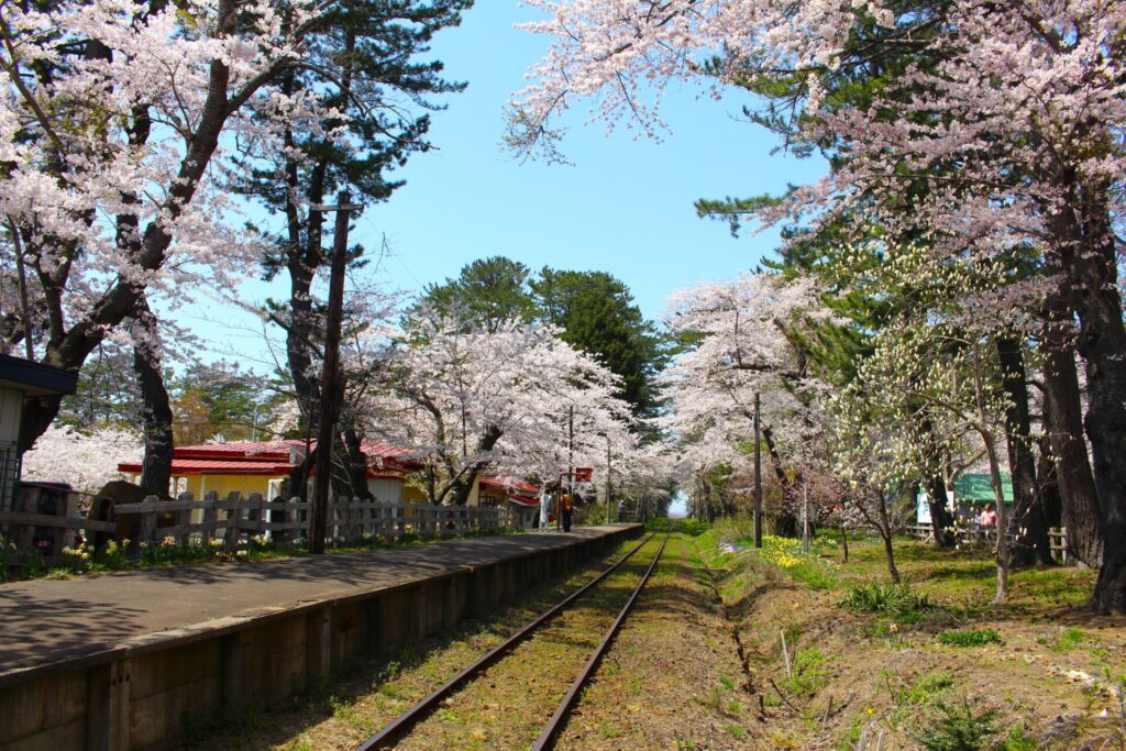 IMG 2804 1024x683 - 芦野公園【青森県】