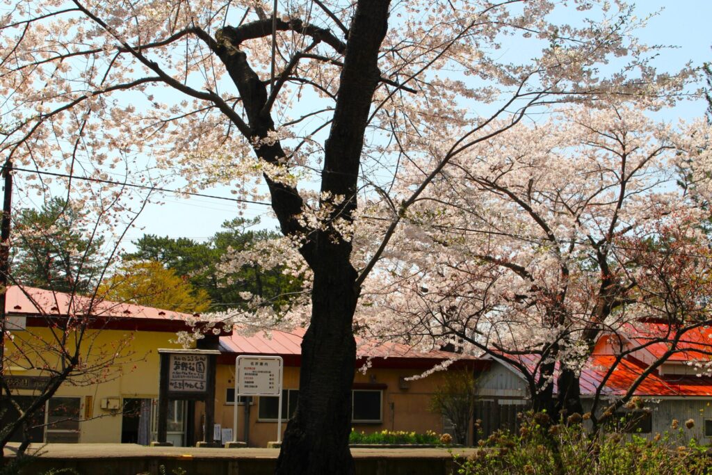 IMG 2811 1024x683 - Ashino Park [Aomori]