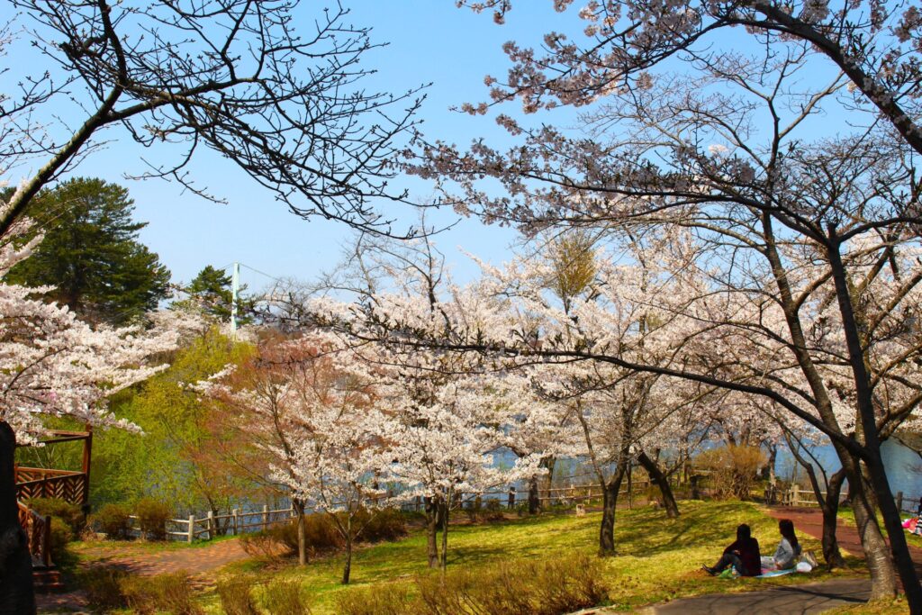 IMG 2831 1024x683 - 芦野公園【青森県】