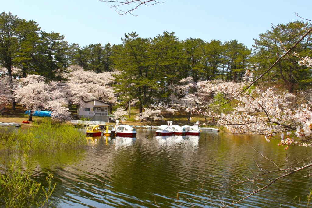 IMG 2833 1024x683 - 芦野公園【青森県】