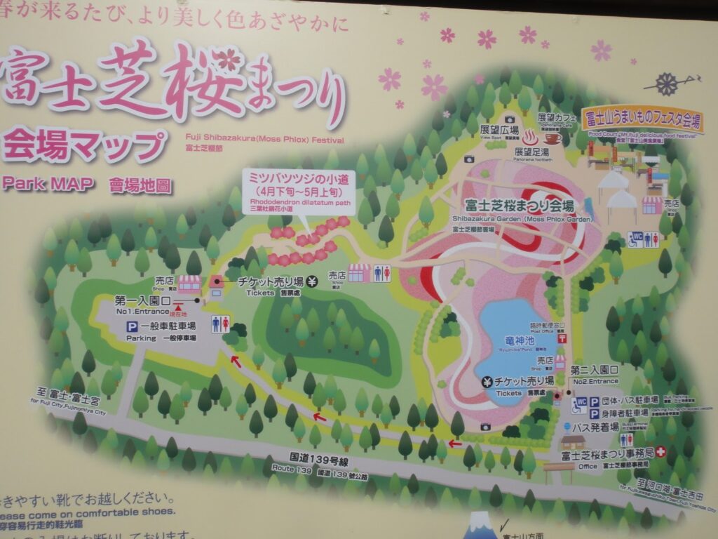 fujimotosuko resort4 1024x768 - 富士芝桜まつり（富士本栖湖リゾート）【山梨県】