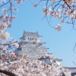 himeji castle1 150x150 - 青岸渡寺 三重塔と那智の滝（なちのたき）【和歌山県】