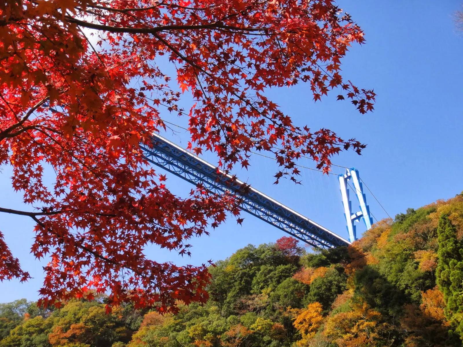 ryujinkyo1.jpg - トップページ用の固定ページ-日本語