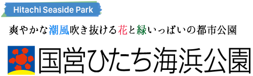 004c91dcb09abe91ce5b917c93bd8c57 - 国営ひたち海浜公園