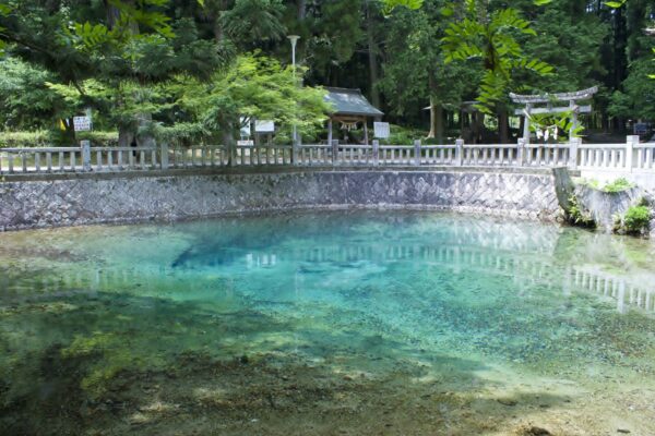 2585346b7274f490df0ae29b553d635e - 別府厳島神社と別府弁天池【山口県】