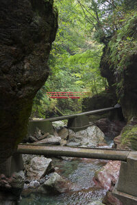 4527b8b428731d9a0c1546bf275cf1d0 - 中津渓谷 笑いの里 竜神七福神【高知県】