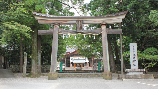 67e0e383853e6ddb3a69742a3e32d37e - 土佐神社【高知県】