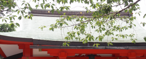 86b93672100b27f0a2b08f0dd9537c63 - 麻布氷川神社【東京都】