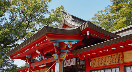 a66b9b4b4667306719cc1a30d5aa45c5 - Kamo Hachiman Shrine [Kagoshima]