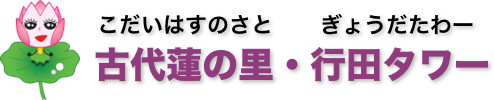 ddd07dd2dc95ff5aab063e7289017f4f - 古代蓮の里＆行田タワー【埼玉県】