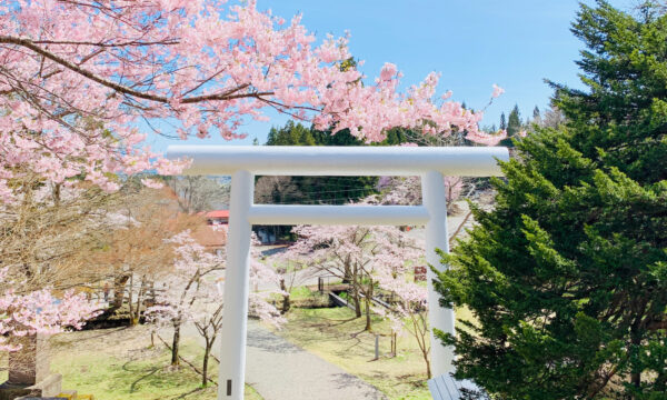 f1ef6eb8a9abd07177c5501a305117ed - Haniatsu Shrine [Fukushima]